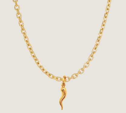 Italian Horn Necklace